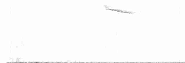 Gray-streaked Flycatcher - ML543468001