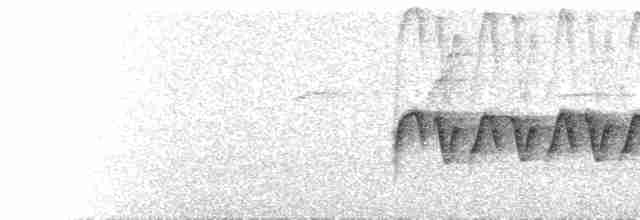  - Rufous-throated Wren-Babbler