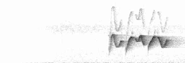  - Mishmi Wren-Babbler