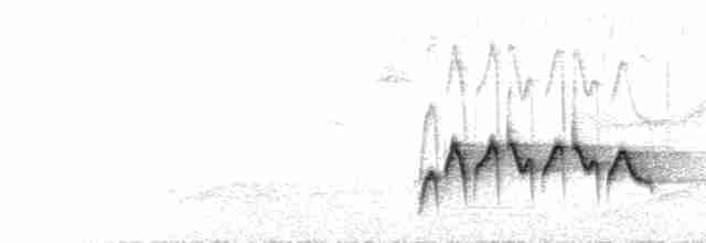  - Chin Hills Wren-Babbler