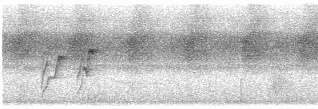 Чернощёкая нектарница - ML543513321