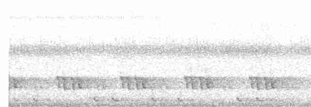 Yellow-eared Barbet - ML543523521