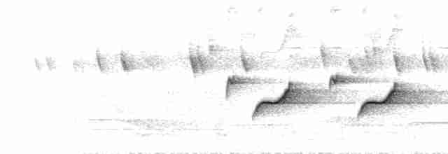  - Buff-breasted Babbler