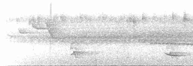 Atlantic Black-throated Trogon - ML543590181