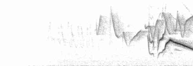  - Streaked Laughingthrush