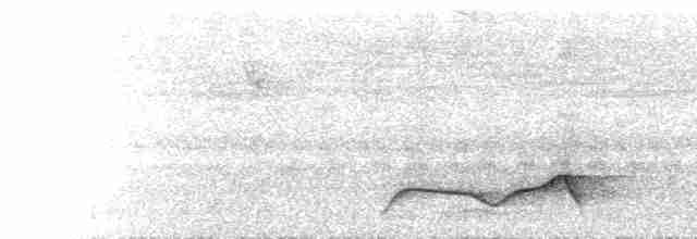  - Assam Laughingthrush