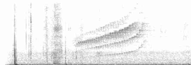 Поплітник плямистий - ML543709001