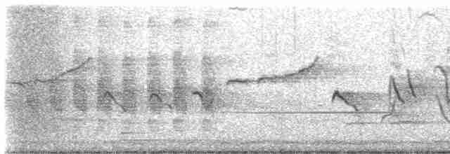 Kestane Kanatlı Tepeli Guguk - ML543816011