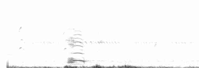 Ібіс молуцький - ML543868401