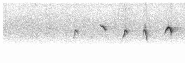 Коричневогорлая нектарница - ML543883461