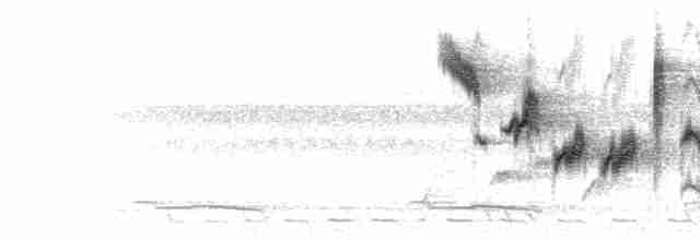  - Blue-throated Flycatcher (rubeculoides)