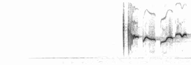  - Verditer Flycatcher