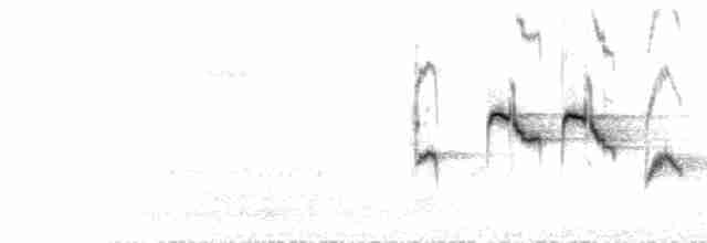  - Kashmir Flycatcher