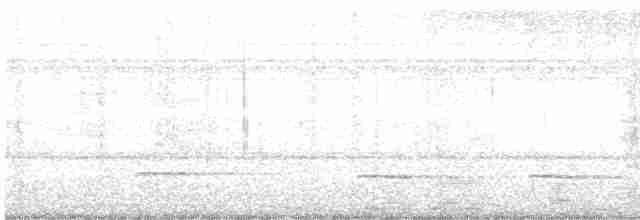 Black-faced Antthrush - ML543996231