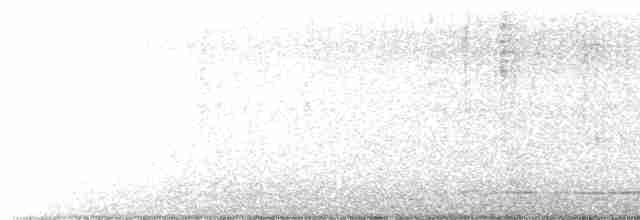 Oriole cul-noir - ML544042321