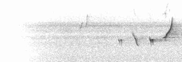  - Orange-bellied Leafbird (Orange-bellied)