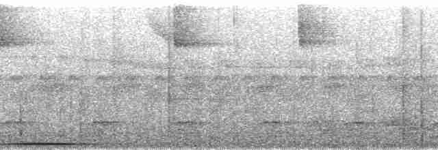 Chiriqui Quail-Dove - ML54412