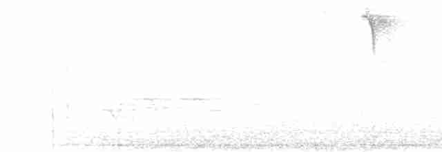 Корольковая эуфония - ML544121551