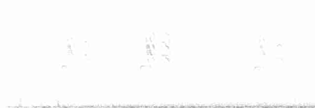 Буроголовый поползень - ML544136281
