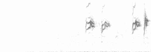  - Himalayan Beautiful Rosefinch