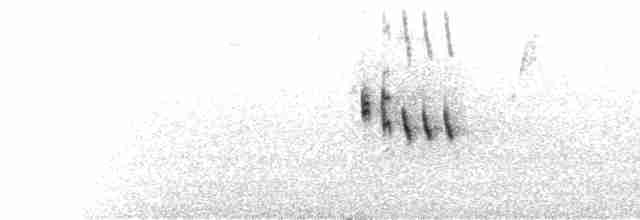  - Yellow-breasted Greenfinch