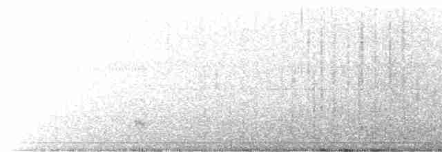 Бурый пеликан - ML544274191