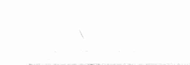 Rufous-browed Peppershrike - ML544281661