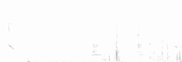 Chivi Vireo - ML544285971