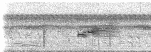 Приморская овсянка-барсучок (mirabilis) - ML544310541