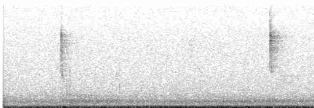 Black-throated Gray Warbler - ML544337241