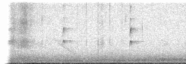 Karolina Çıtkuşu - ML544339281