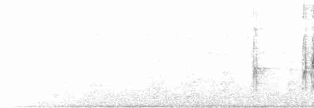 Полосатохвостый дятел - ML544361601
