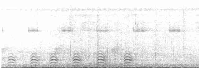 Slaty-tailed Trogon - ML544364181
