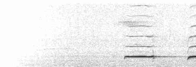  - Northern Black-throated Trogon