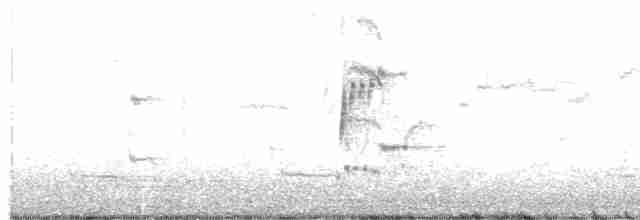 Loggerhead Shrike - ML544380151