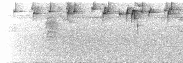  - White-bellied Tanager