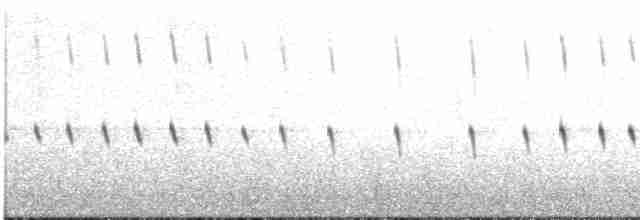 Тёмная трясохвостка (antarcticus) - ML544419811