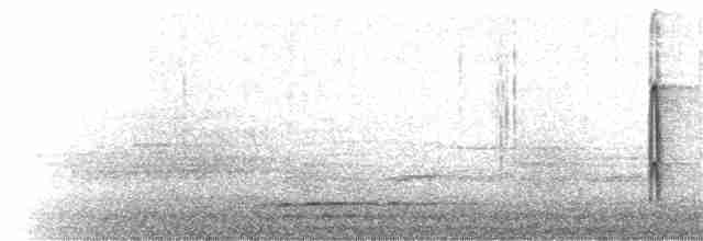 strakapoud osikový (ssp. pubescens/medianus) - ML54442181