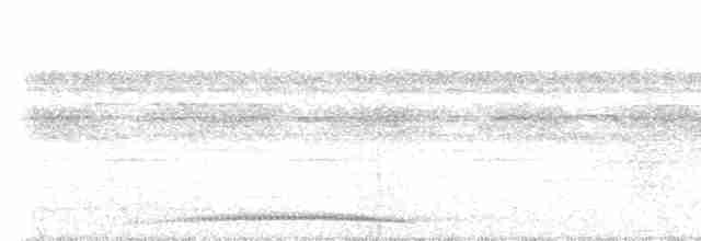 holub vínový (ssp. subvinacea/berlepschi) - ML544425441