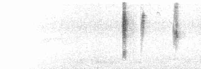  - Hooded Visorbearer