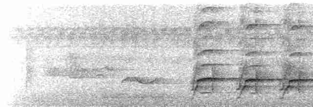  - Ochre-backed Woodpecker