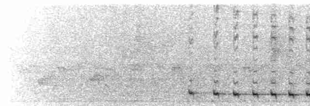  - Stresemann's Bristlefront