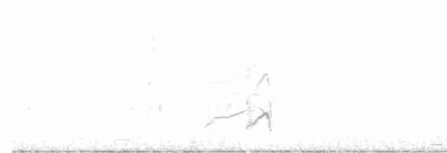 Black-tailed Godwit - ML544501491