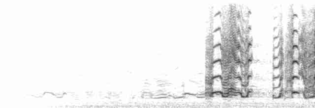  - Greater White-fronted Goose (Western)