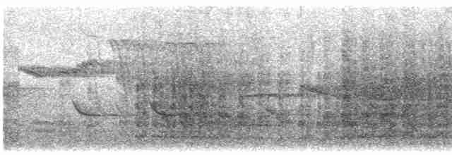 Cratérope de brousse - ML544550691