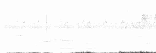 Белобровый шама - ML544552731
