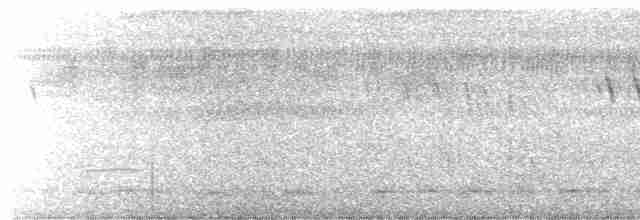 netopýrář hnědý - ML544574451