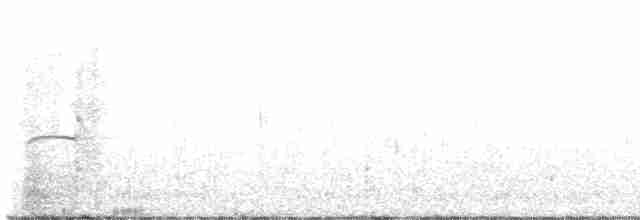 Northern Beardless-Tyrannulet - ML544595311