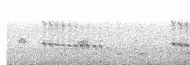 White-throated Kingfisher - ML544600261