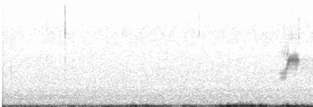 Eastern Meadowlark - ML544616521